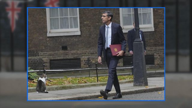 無綫新聞 TVB News