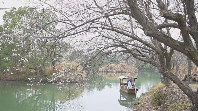 無綫新聞 TVB News