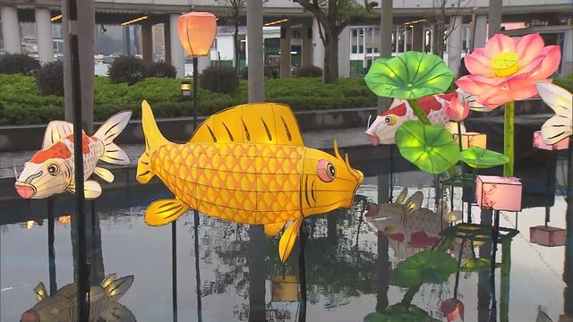 無綫新聞 TVB News