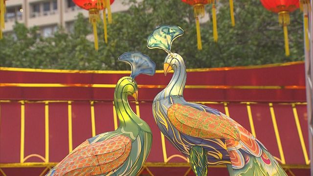 無綫新聞 TVB News