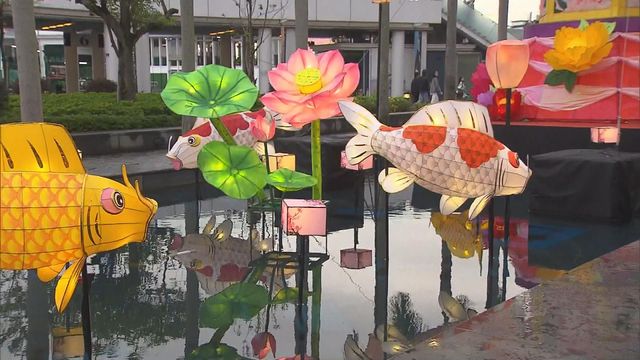 無綫新聞 TVB News 無綫新聞 TVB News