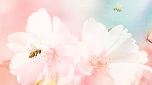 驚蟄‧圖輯｜春雷乍動萬物蘇醒　吃梨養生疏肝健脾　農夫閒轉忙迎耕作旺季