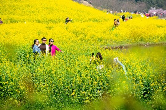 無綫新聞 TVB News