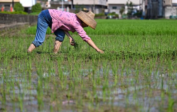 無綫新聞 TVB News