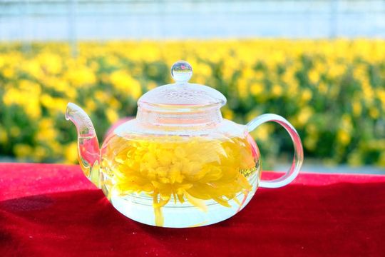 無綫新聞 TVB News