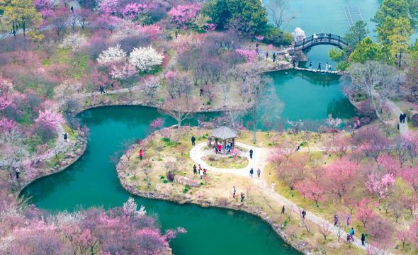 無綫新聞 TVB News