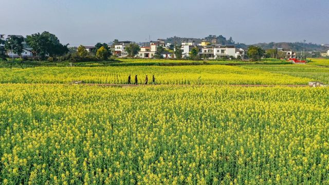 無綫新聞 TVB News