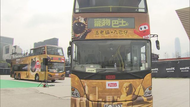無綫新聞 TVB News