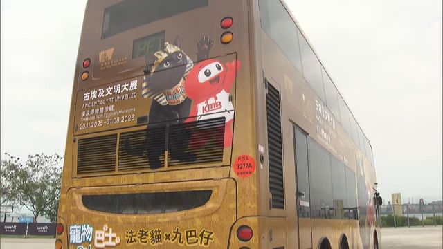 無綫新聞 TVB News