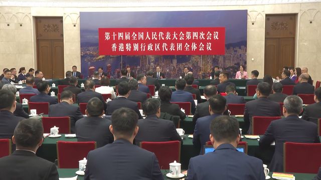 Vice Premier Ding Xuexian meets with HK delegates to National People's Congress