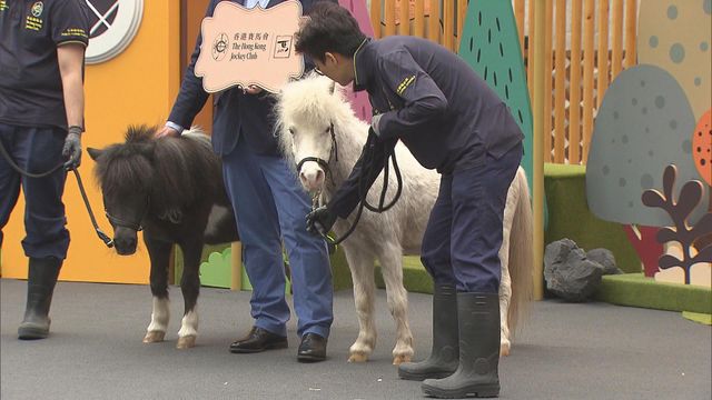 無綫新聞 TVB News