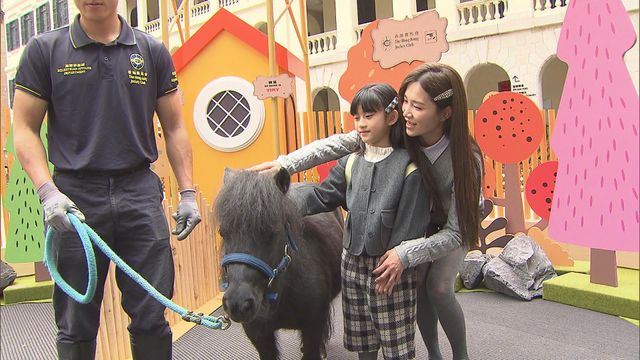 無綫新聞 TVB News