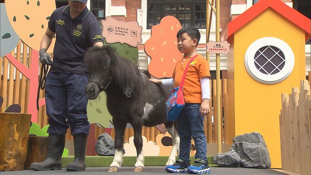 無綫新聞 TVB News