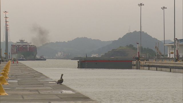 Ministry of Transport summoned shipping firms Maersk & Mediterranean Shipping Co 