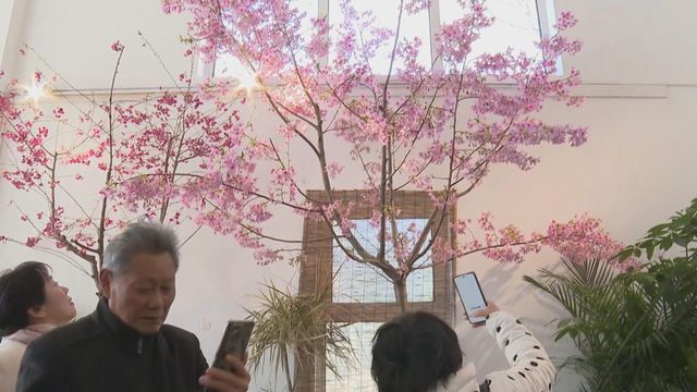 無綫新聞 TVB News 無綫新聞 TVB News