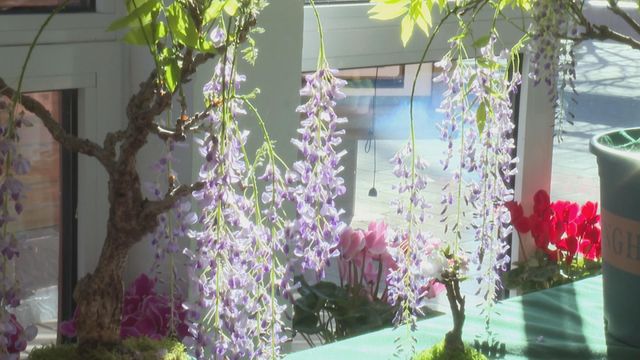 無綫新聞 TVB News 無綫新聞 TVB News