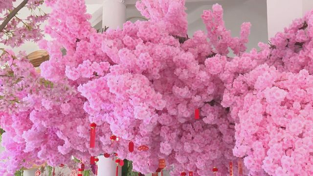 無綫新聞 TVB News 無綫新聞 TVB News