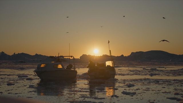 無綫新聞 TVB News