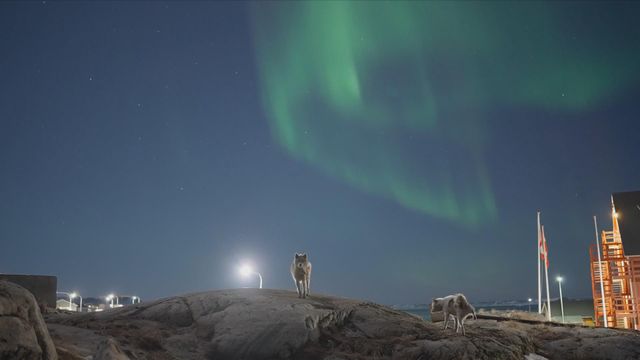 無綫新聞 TVB News