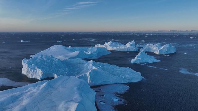 無綫新聞 TVB News