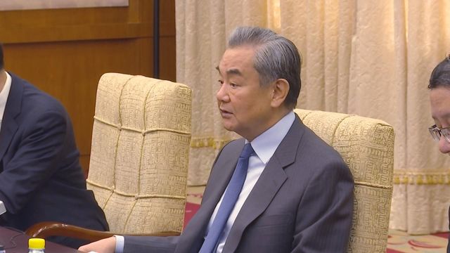 王毅：讚賞荷蘭新政府重視對華關係積極信號