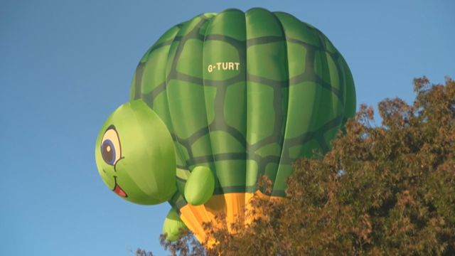 無綫新聞 TVB News 無綫新聞 TVB News