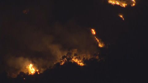 火炭樂楓徑後山傍晚發生山火