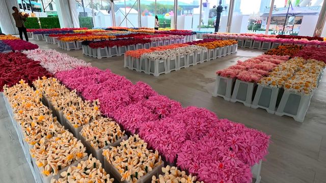 無綫新聞 TVB News