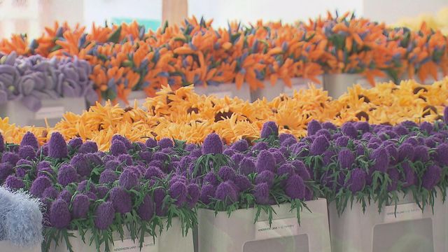 無綫新聞 TVB News