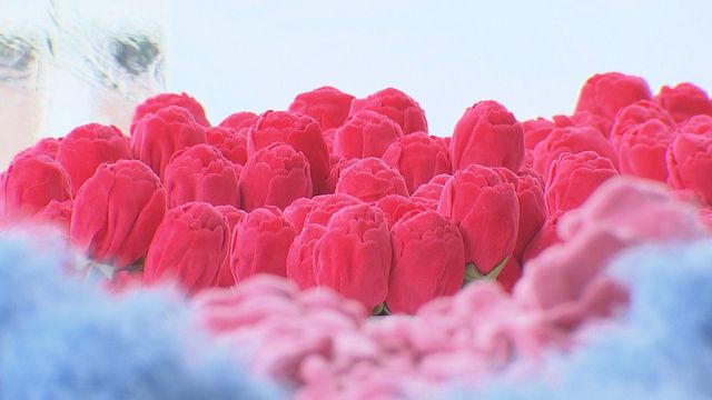 無綫新聞 TVB News