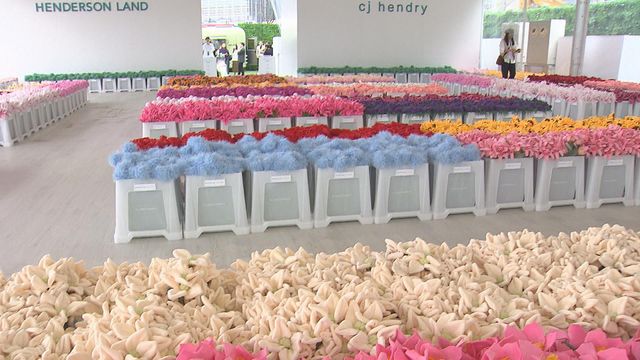 無綫新聞 TVB News