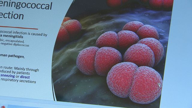 侵入性腦膜炎雙球菌有幾毒？有何預防方法？｜延伸閱讀