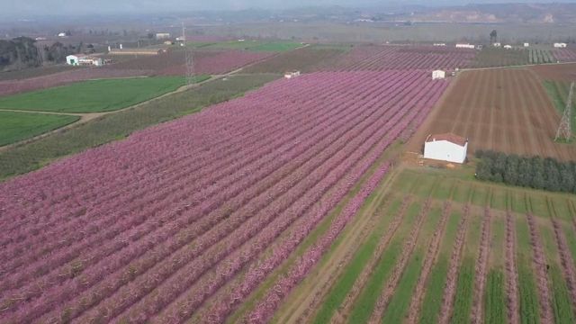 無綫新聞 TVB News