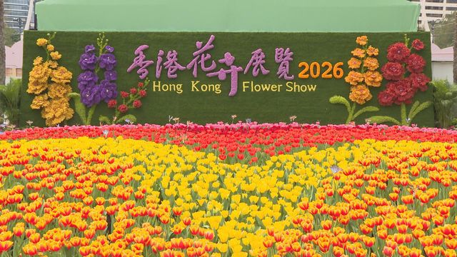 無綫新聞 TVB News