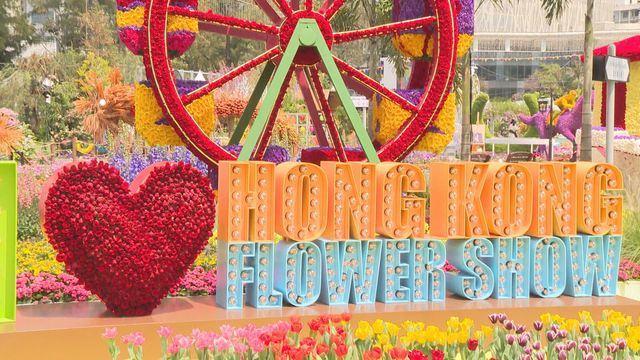 無綫新聞 TVB News