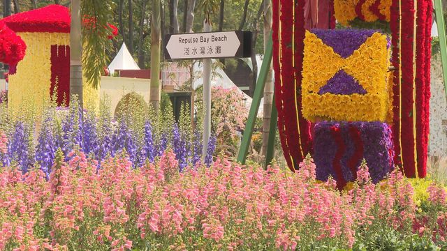 無綫新聞 TVB News