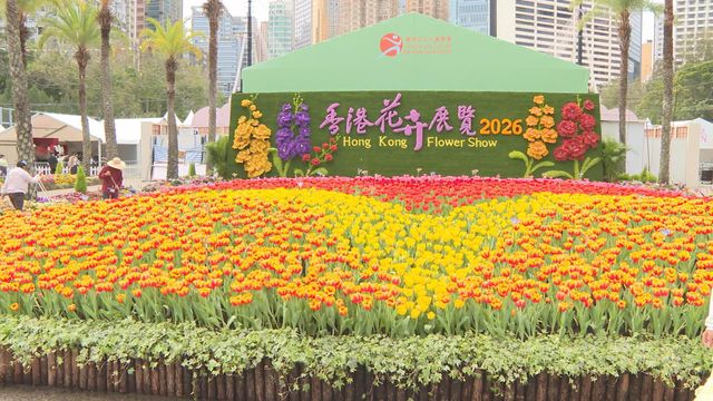 無綫新聞 TVB News