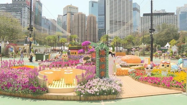 無綫新聞 TVB News