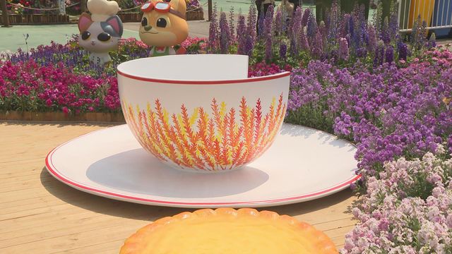 無綫新聞 TVB News