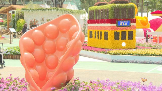 無綫新聞 TVB News