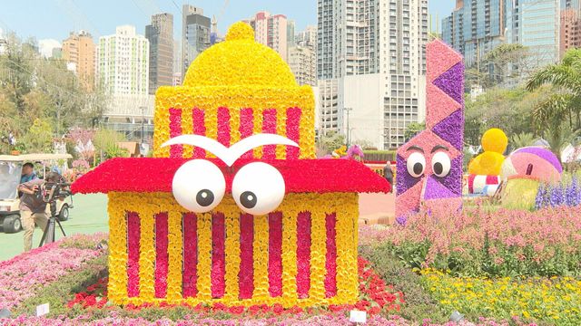 無綫新聞 TVB News