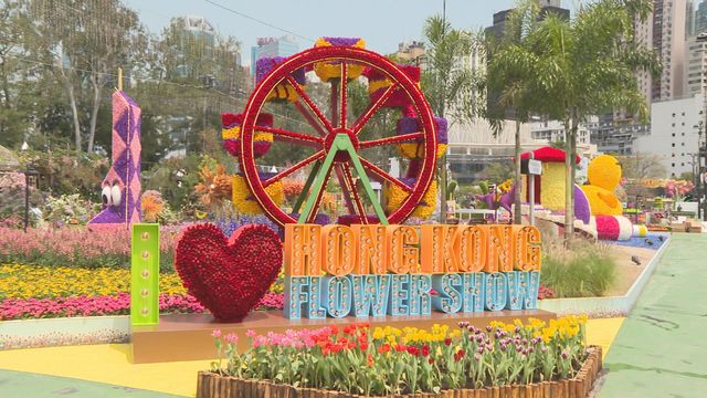 無綫新聞 TVB News