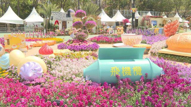 無綫新聞 TVB News