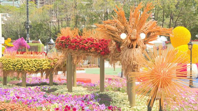 無綫新聞 TVB News