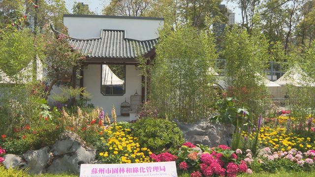 無綫新聞 TVB News