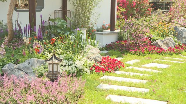 無綫新聞 TVB News