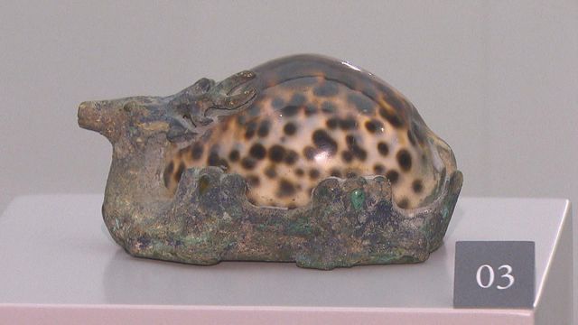 無綫新聞 TVB News