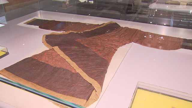 無綫新聞 TVB News