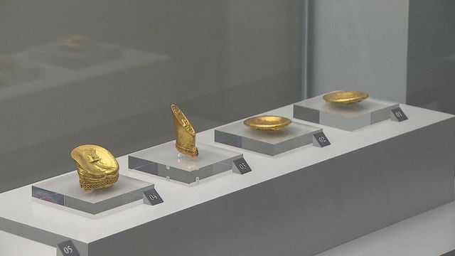 無綫新聞 TVB News