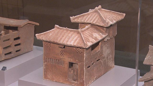 無綫新聞 TVB News